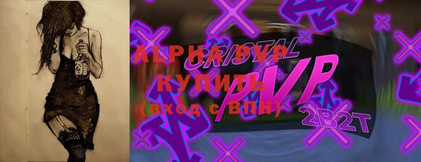 ешки Бородино