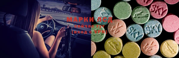 гидра Бронницы