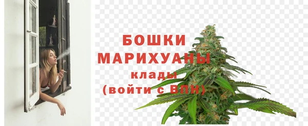 гидра Бронницы