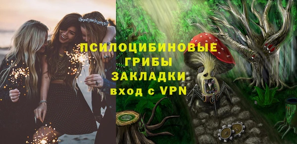 гидра Бронницы