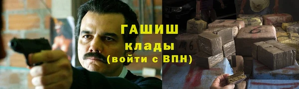 ешки Бородино