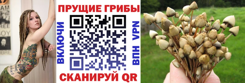 Галлюциногенные грибы ЛСД  блэк спрут вход  Вельск 